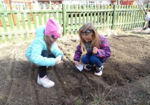 Dziewczynki sieją nasiona.